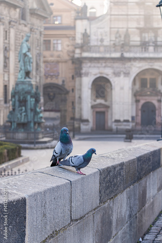 Close-up of two pigeons perched on the Charles bridge (Karlov most), Prague, Czech Republic