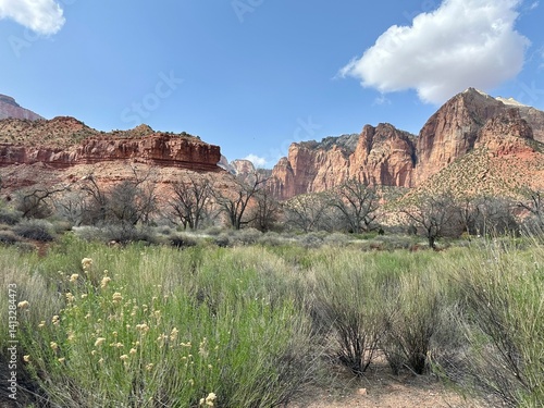 Dramatic rock formations and mountain landscape, Zion National Park, Utah, USA