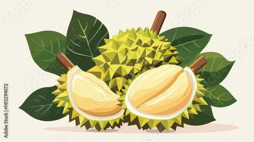 Exotic Durian Fruit: Creamy Custard-like Flesh, Close-Up View of the Spiky Exterior food farm ripe  
