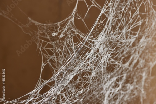 Obraz na płótnie Thick old spider web in a cellar w salonie