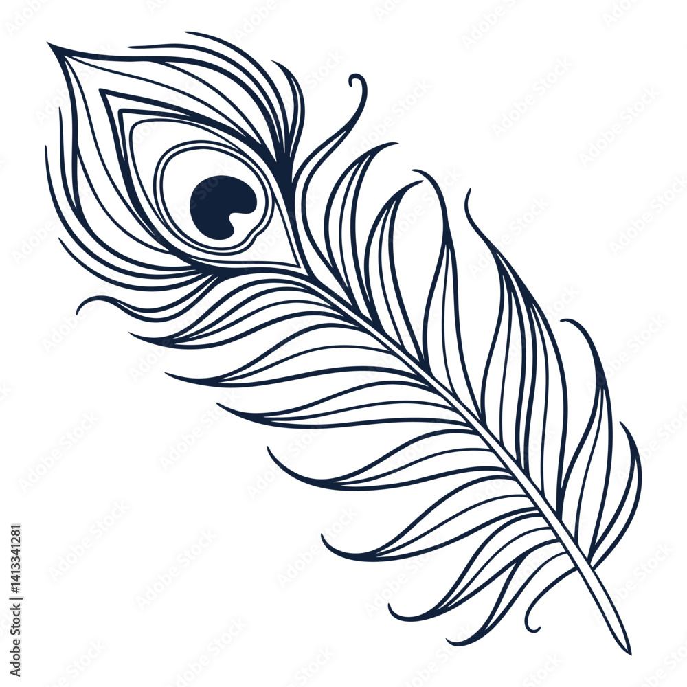 feather vector illustration feather vector illustration