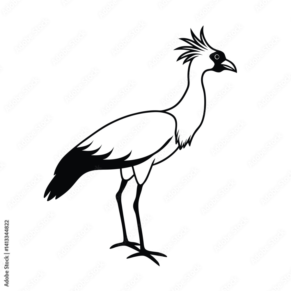 Fototapeta premium secretary bird