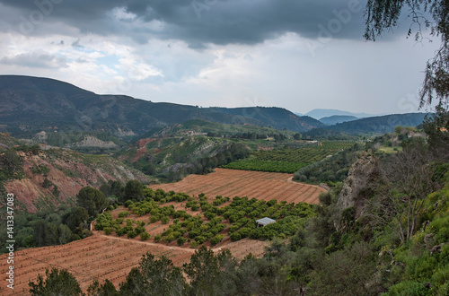 Oranges fields under rain clouds