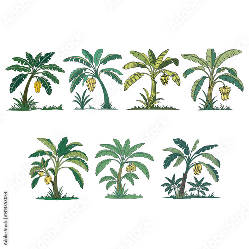 Collection of Banana Trees Tropical Plants Illustration,