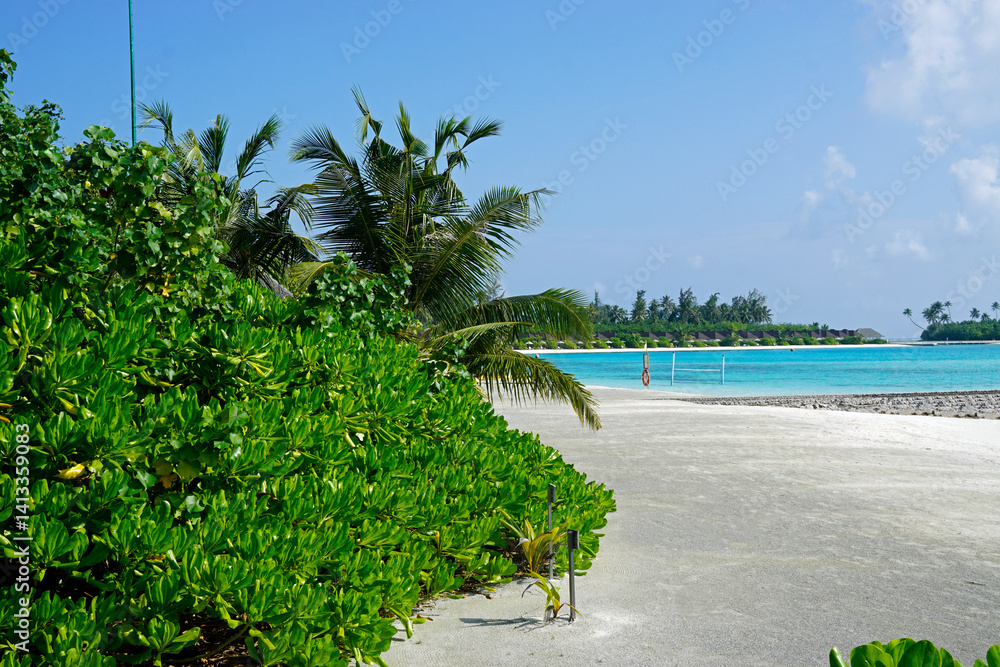 exotic tropical island on the maldives