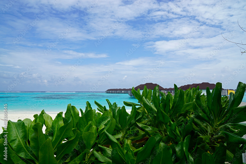 exotic tropical island on the maldives