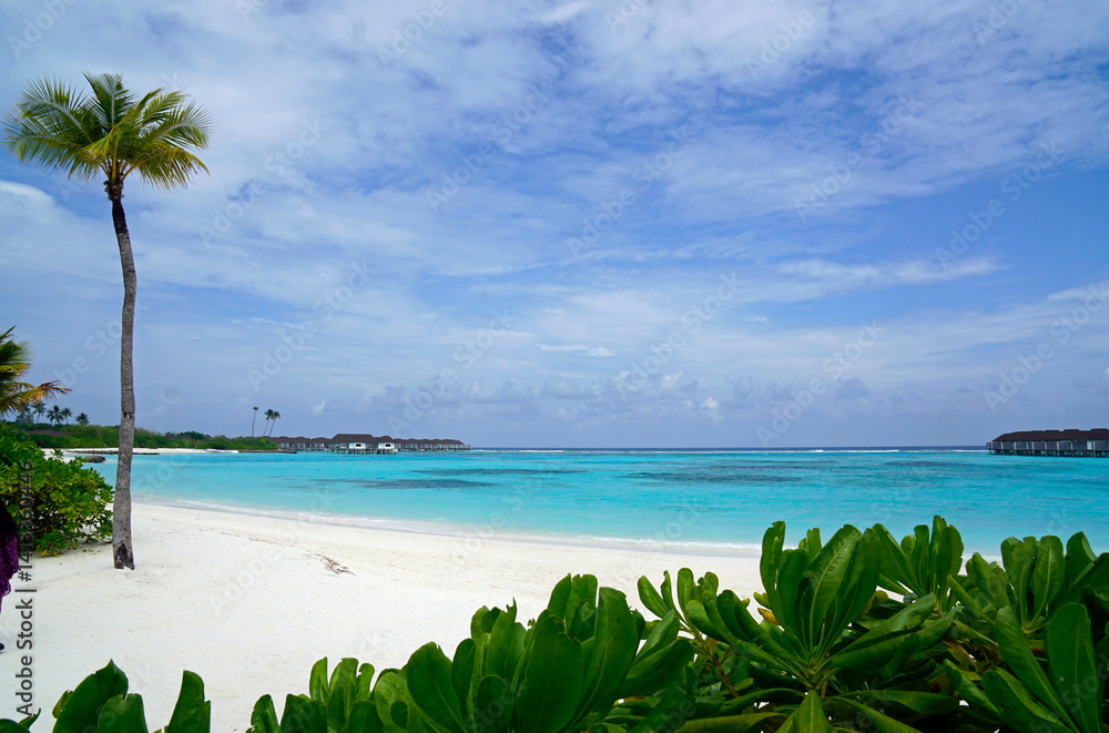 exotic tropical island on the maldives