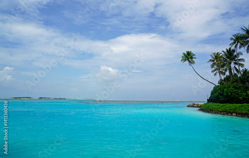 Obraz na płótnie tropical island paradise on the Maldives w salonie