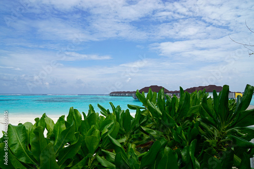 exotic tropical island on the maldives