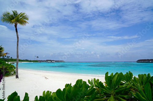 Obraz na płótnie exotic tropical island on the maldives w salonie