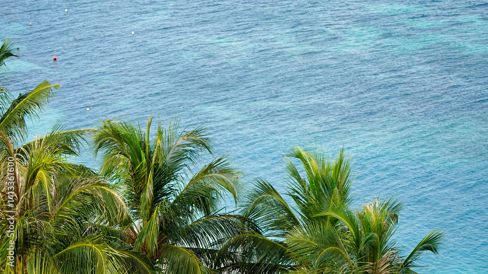 aerial view of Sunny tropical beach paradise on the Maledives