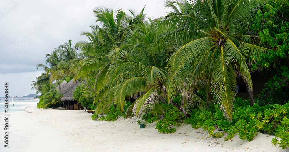 exotic tropical island on the maldives