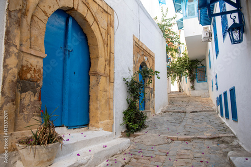 Sidi Bou Said, Tunisia, Africa. A charming alleyway in a town near the Mediterranean.
