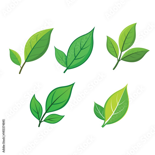 Green leaves collection nature design elements,