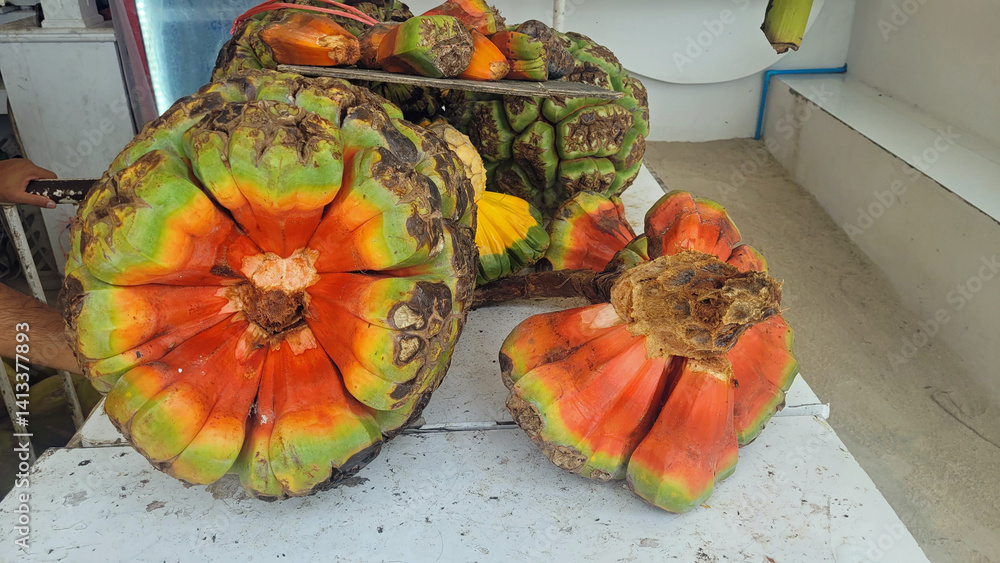 exotic ripe screw pine fruit