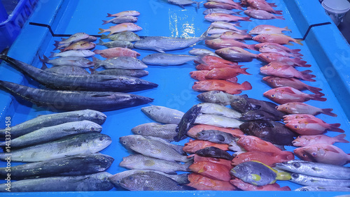 fresh fish from the fishmarket