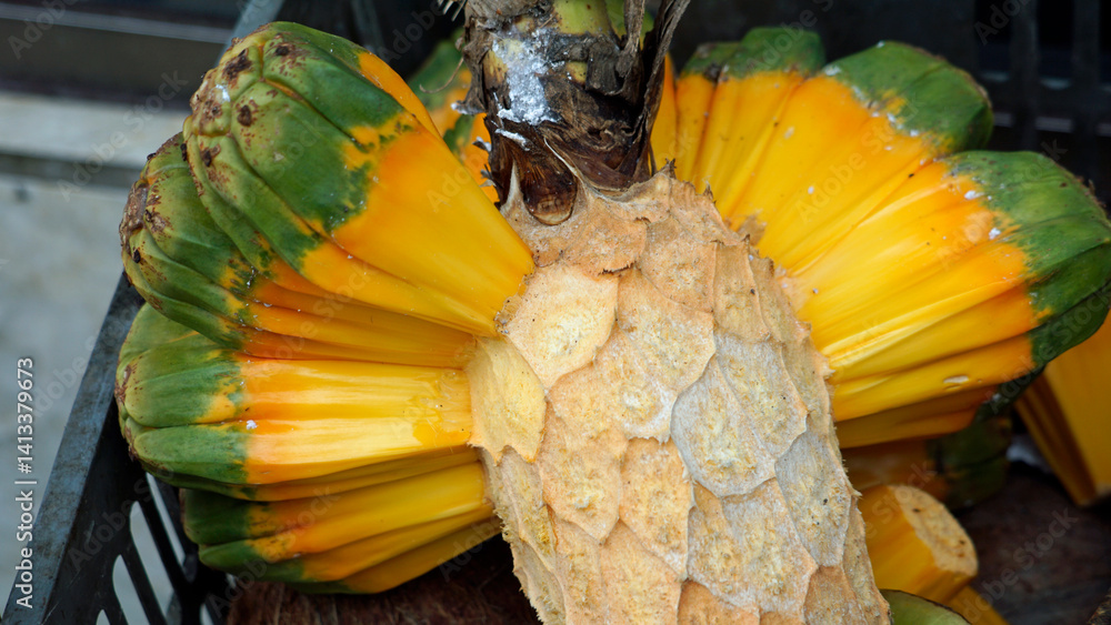 exotic ripe screw pine fruit