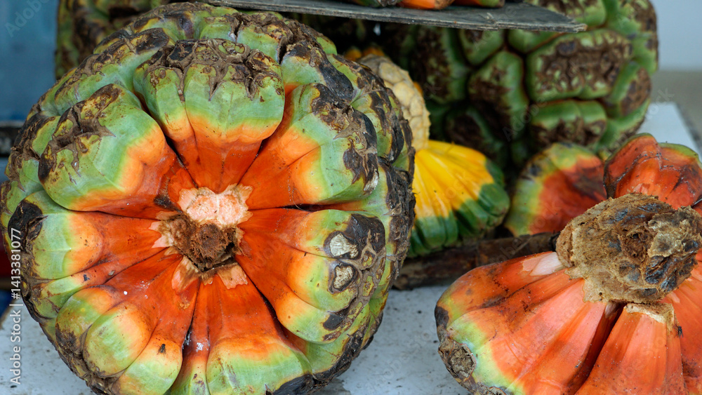 exotic ripe screw pine fruit