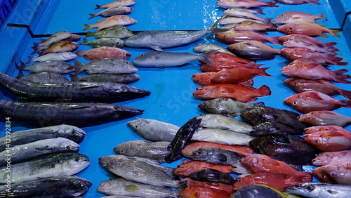 Cuadro en lienzo fresh fish from the fishmarket