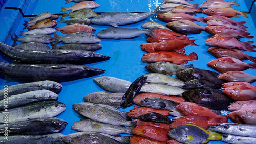 Принти на полотні fresh fish from the fishmarket