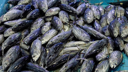 Bilde på lerret fresh fish from the fishmarket