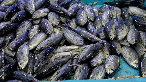Canvas Print fresh fish from the fishmarket