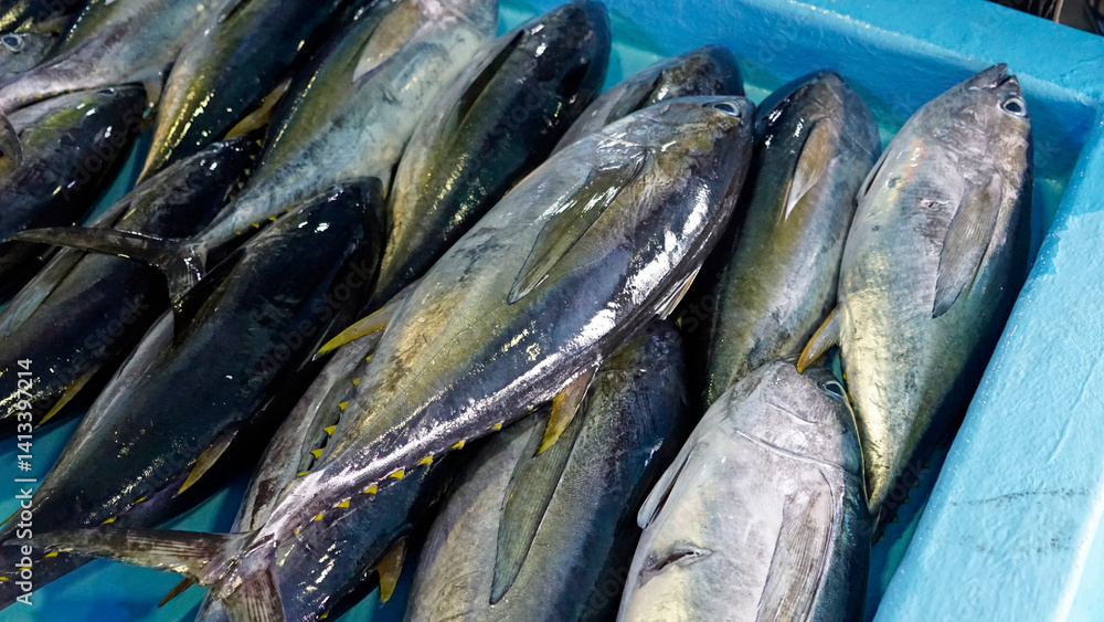 fresh fish from the fishmarket