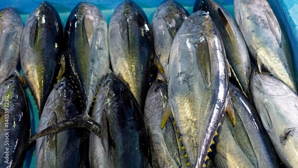 fresh fish from the fishmarket