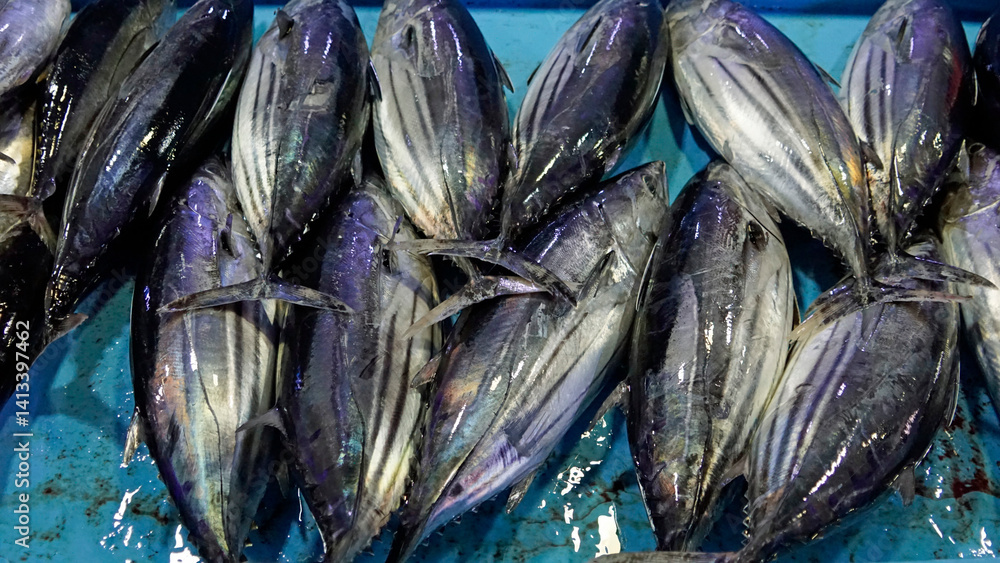 fresh fish from the fishmarket