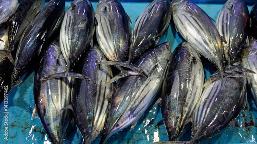 Obraz na płótnie fresh fish from the fishmarket w salonie