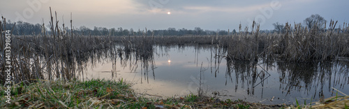 Obraz na płótnie Dry reeds in a lake with the sun in the background when it is cloudy.
w salonie