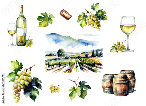 Set of watercolor grape vine clipart with white grapes, wooden barrel, white wine glass, bottle and wine cork, hand painted water color vineyard landscape. Transparent background