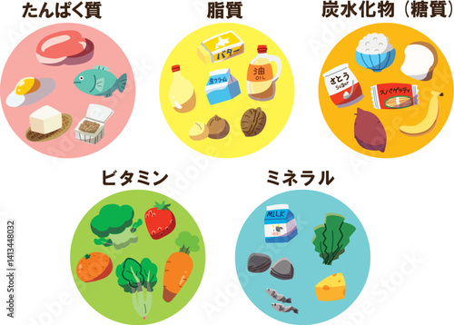 五大栄養素セット　線なし