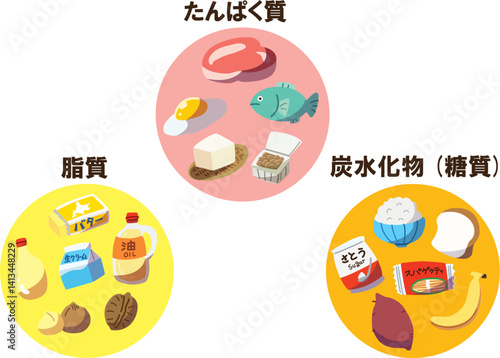 三大栄養素　線なし