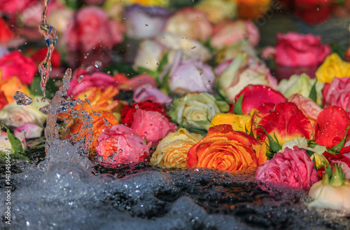 Obraz na płótnie Roses in a fountain of the Old Town, Easter tradition in Zurich, Switzerland w salonie