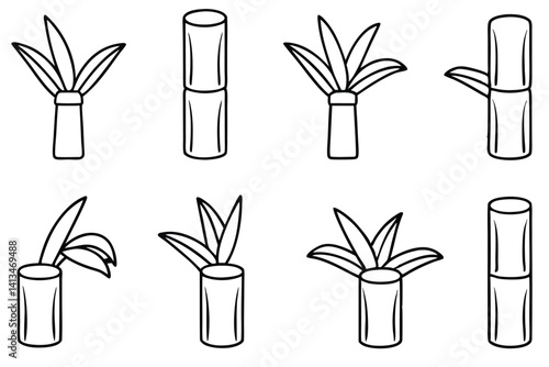 Sugarcane Plant Vector Collection