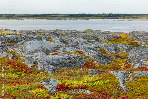 Autumn arctic tundra and the Churchill River in northern Manitoba