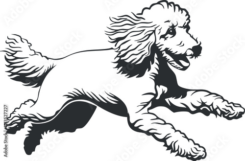 A joyful poodle running energetically in an outdoor setting, showcasing its playful nature.