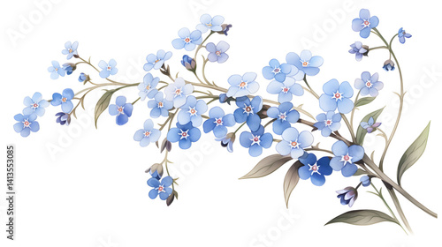 Lush forget-me-not flowers on a pristine white background for versatile design uses