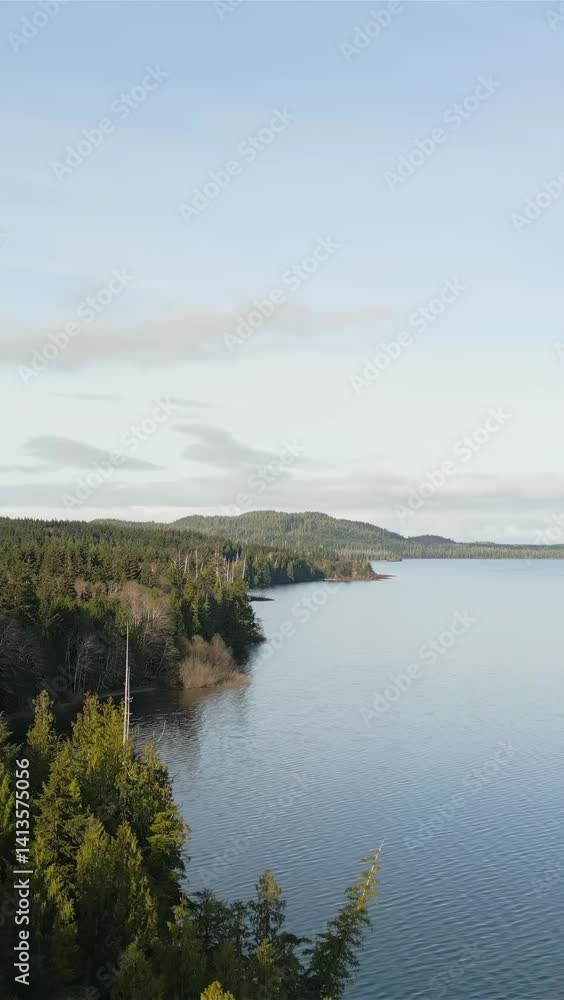 Aerial View of Vancouver Island's Coast: A Scenic Journey Through Forests and Waters Aerial View of Vancouver Island's Coast: A Scenic Journey Through Forests and Waters