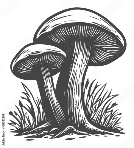 Black and White Engraving of Two Mushrooms with Grass Background