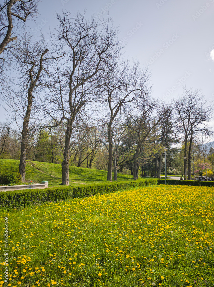 Spring Landscape of South Park in city of Sofia, Bulgaria