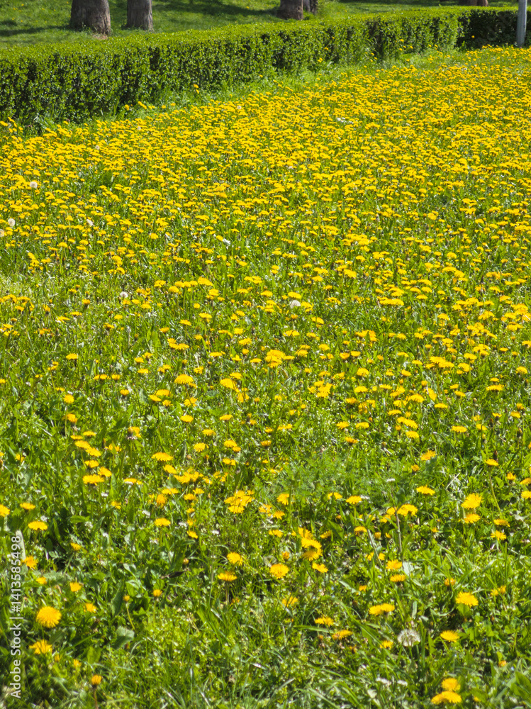 Spring Landscape of South Park in city of Sofia, Bulgaria