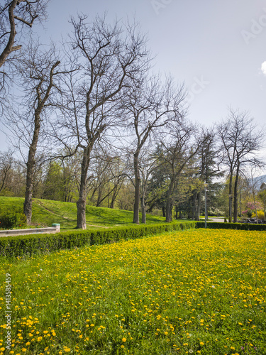 Obraz na płótnie Spring Landscape of South Park in city of Sofia, Bulgaria w salonie