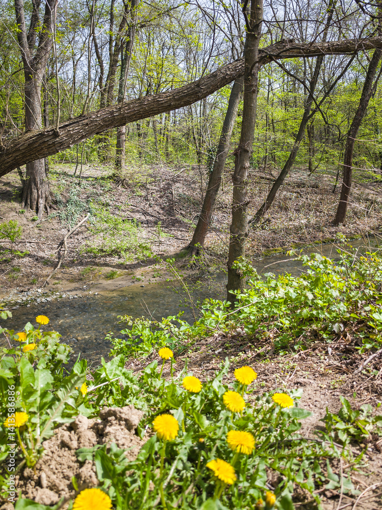 Spring Landscape of South Park in city of Sofia, Bulgaria