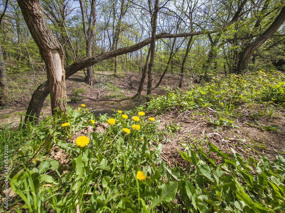 Spring Landscape of South Park in city of Sofia, Bulgaria