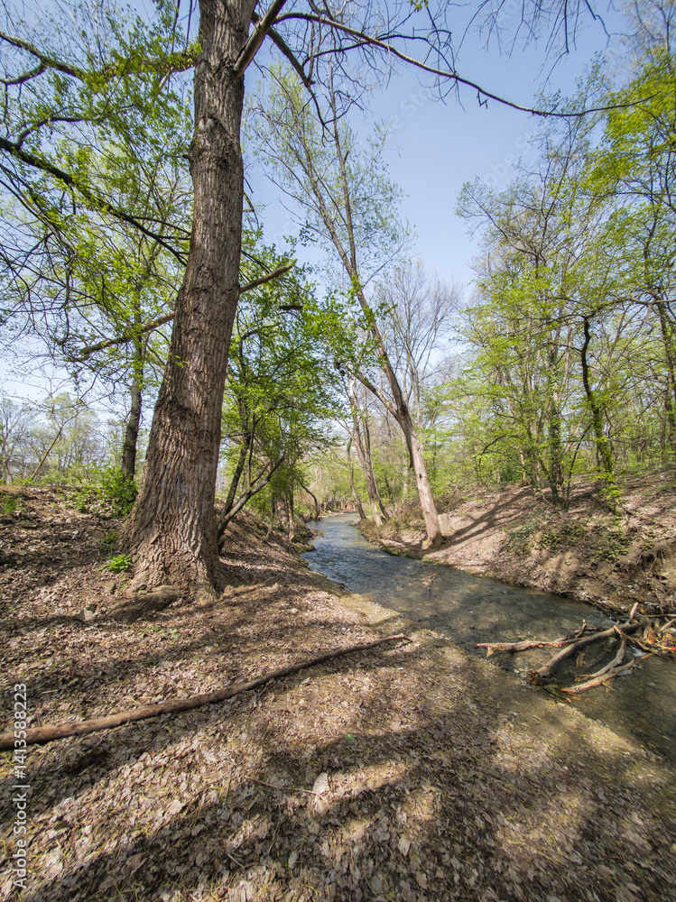 Spring Landscape of South Park in city of Sofia, Bulgaria