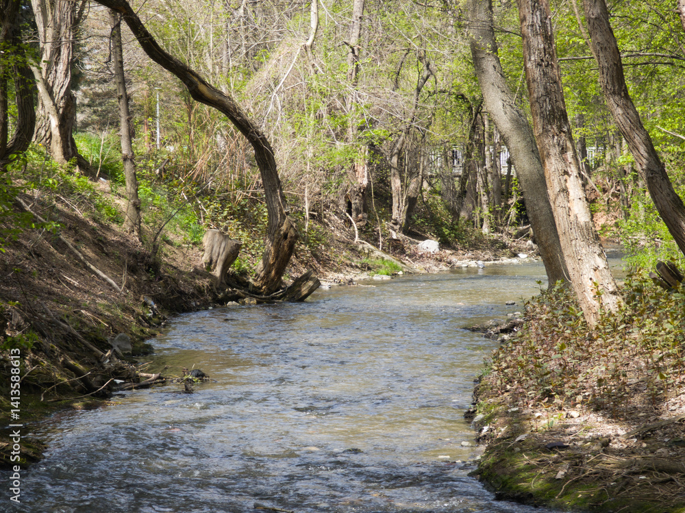 Spring Landscape of South Park in city of Sofia, Bulgaria