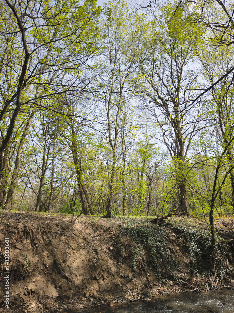 Spring Landscape of South Park in city of Sofia, Bulgaria