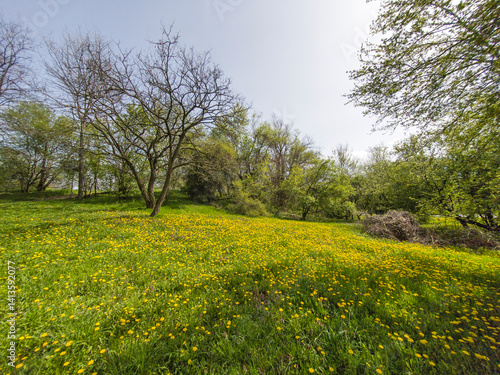 Obraz na płótnie Spring Landscape of South Park in city of Sofia, Bulgaria w salonie